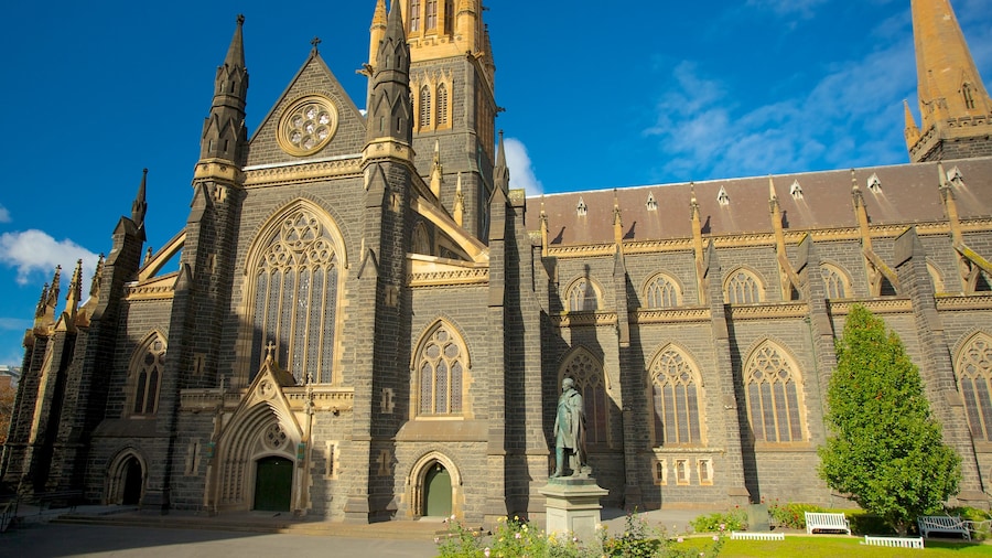 St Patrick\'s Cathedral showing a church or cathedral, heritage architecture and a city