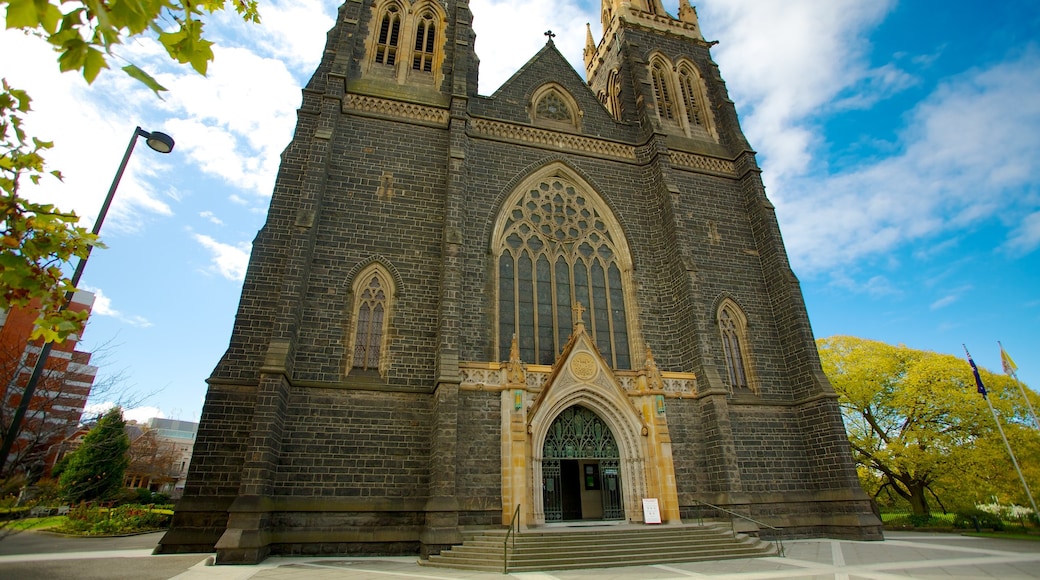 St Patrick\\\'s Cathedral featuring a city, religious elements and a church or cathedral