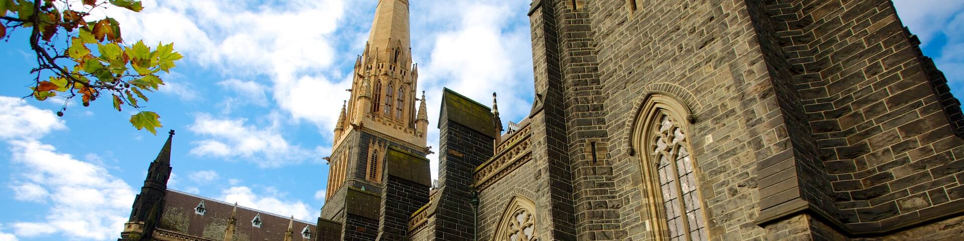 St Patrick\'s Cathedral showing religious elements and a church or cathedral