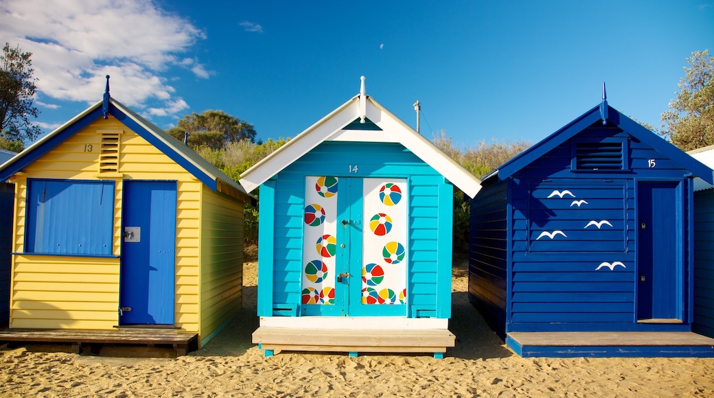 Brighton Beach which includes a beach