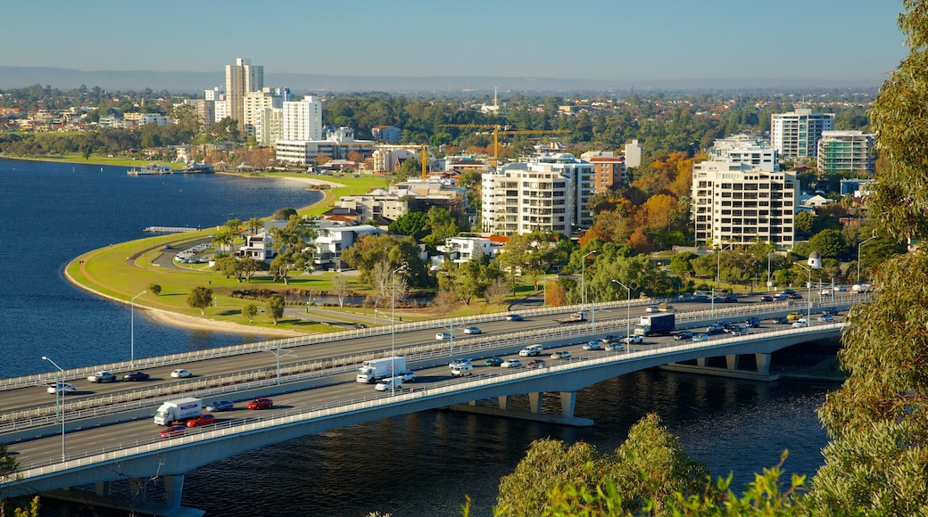 Kings Park and Botanic Garden which includes a city and a bridge