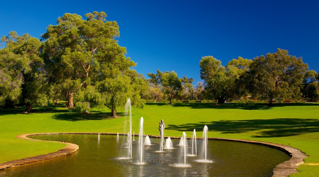 Kings Park and Botanic Garden presenterar en fontän och en trädgård