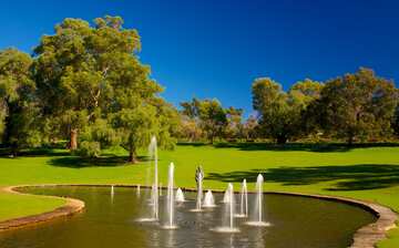 Kings Park And Botanic Garden Lightscape