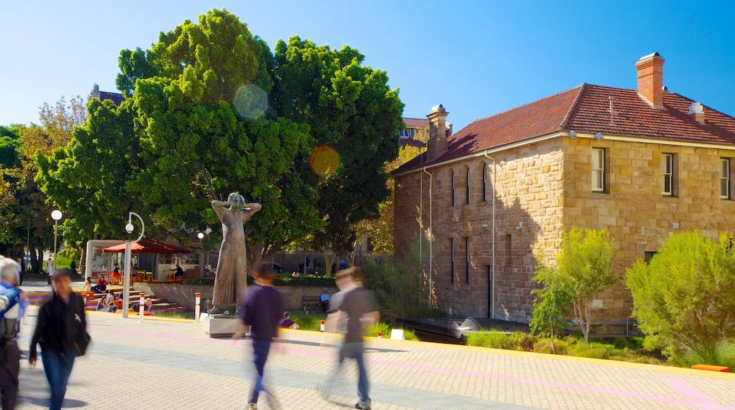 Art Gallery of Western Australia showing street scenes and art