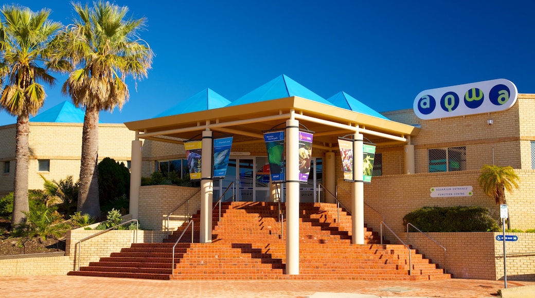 Acuario de Australia Occidental que incluye vida marina