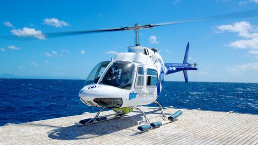 ๋ถ๋ถ ํธ์ฆ๋๋ ์ด๋์ง์ญ ์ ํน์ง ํญ๊ณต๊ธฐ