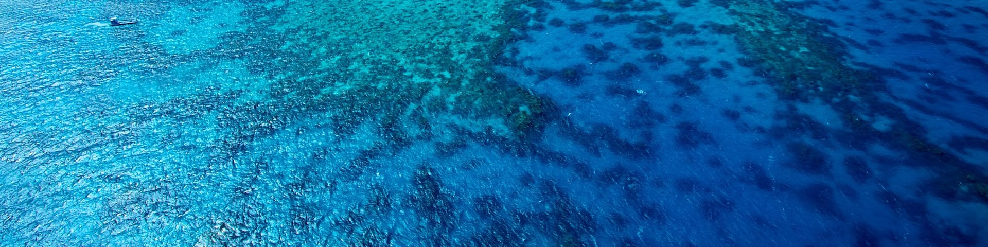 Cairns featuring landscape views, colourful reefs and tropical scenes
