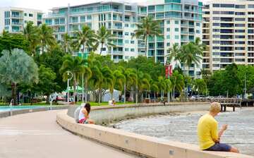 エスプラネード ラグーン ケアンズ セントラル ビジネス ディストリクト エクスペディア エスプラネード ラグーン ケアンズ セントラル ビジネス ディストリクト エクスペディア