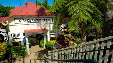 Cairns and Northern Beaches which includes signage