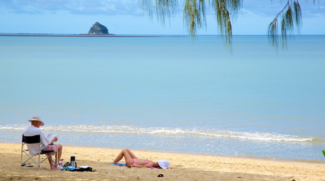 Palm Cove Beach ofreciendo vista panorámica, una playa y escenas tropicales