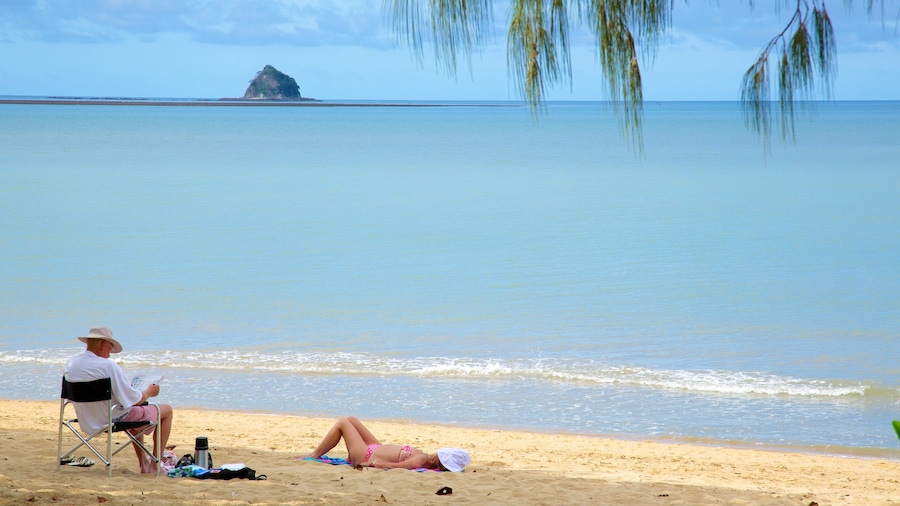 Palm Cove Beach showing tropical scenes, landscape views and a sandy beach