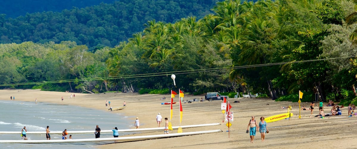 Palm Cove Beach which includes tropical scenes, swimming and a sandy beach