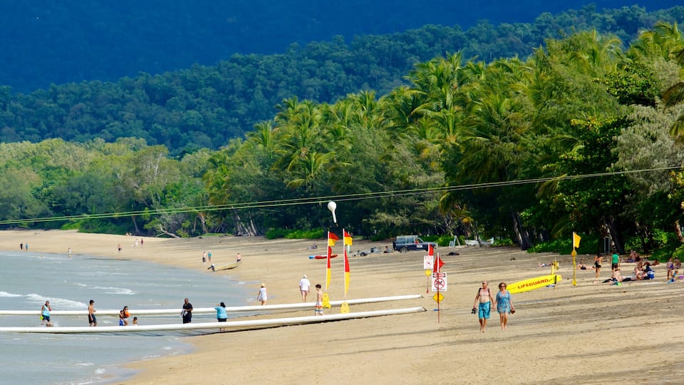 Palm Cove Beach mostrando una playa, natación y escenas tropicales