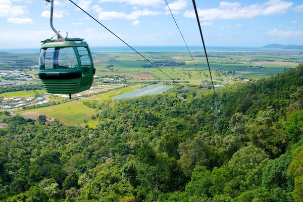 Skyrail Rainforest Cableway qui includes scĂšnes forestiĂšres et forĂȘt vierge