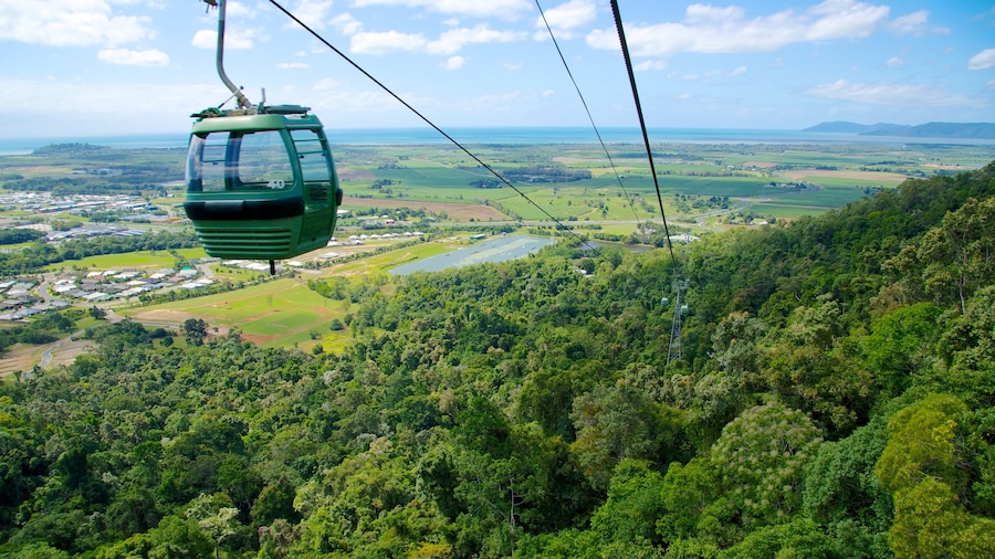 Skyrail Rainforest Cableway qui includes scènes forestières et forêt vierge