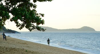 Trinity Beach som inkluderar surfing, landskap och en strand