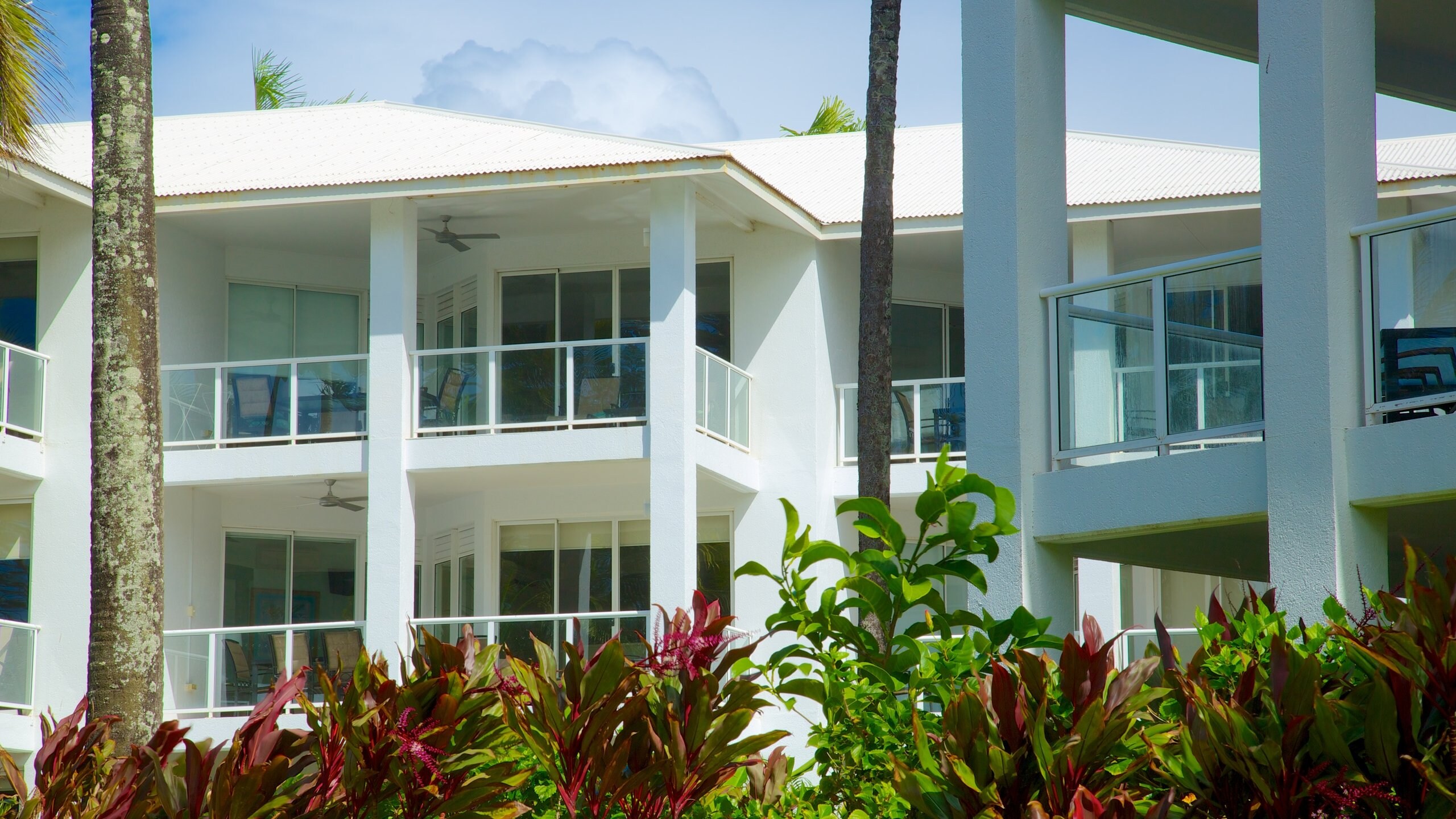 The Best Port Douglas Luxury Hotels Upscale Hotels in Port Douglas Expedia