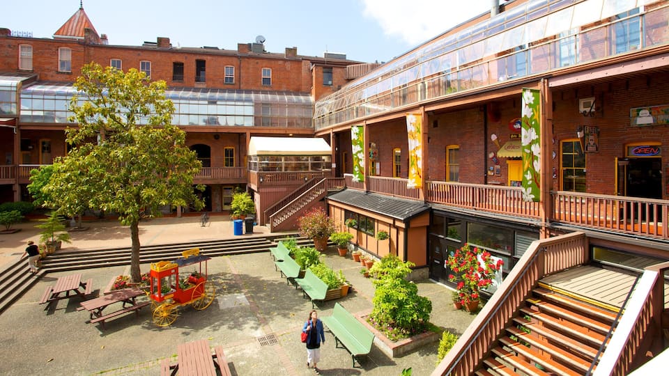 Victoria showing a house, street scenes and a city
