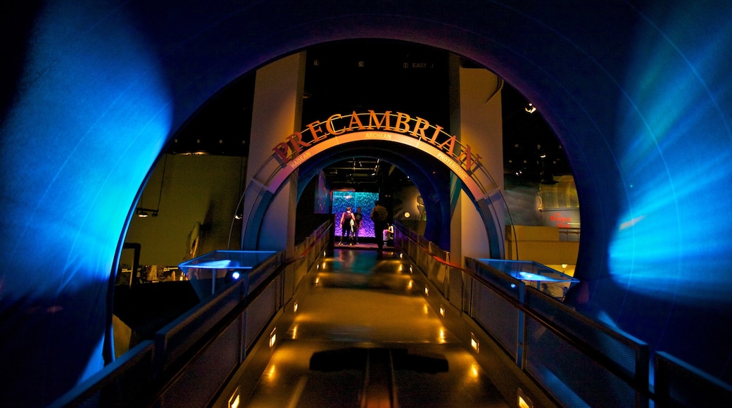 Royal Tyrrell Museum showing signage and interior views