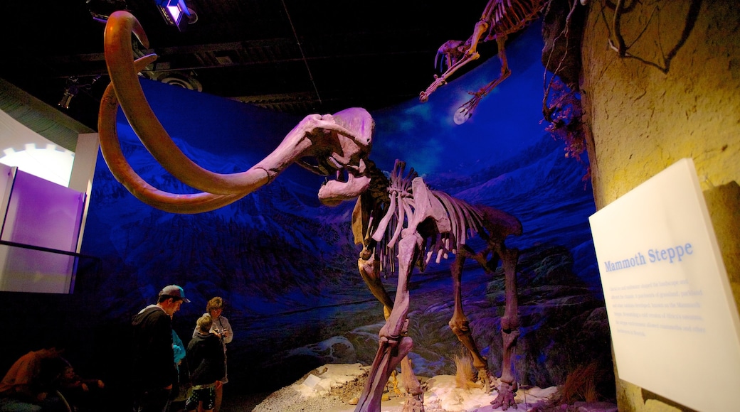 Royal Tyrrell Museum toont interieur en ook een gezin