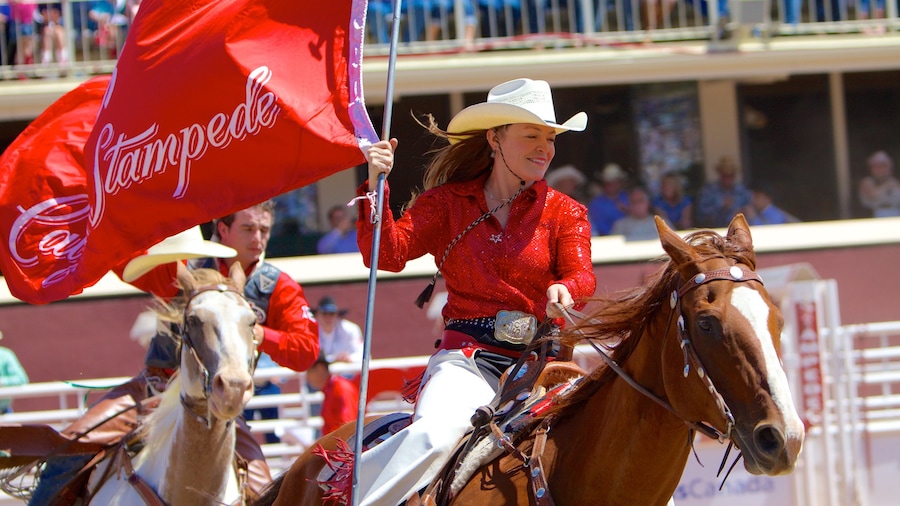 Calgary mostrando festival e giro a cavallo cosi come ragazza