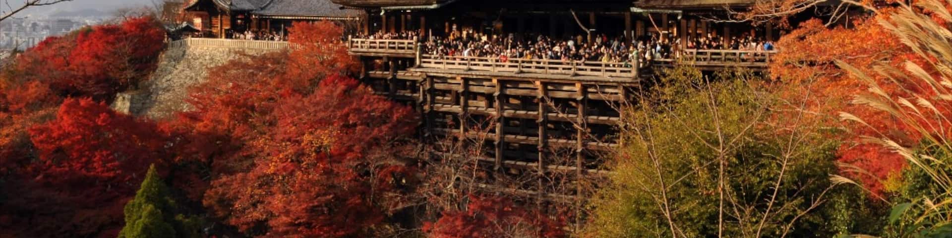 Temple Kiyomizu-dera mettant en vedette temple ou lieu de culte et aspects religieux