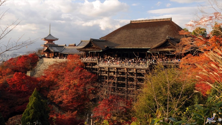 Kiyomizu-templet som visar ett tempel eller plats för dyrkan och religiösa element