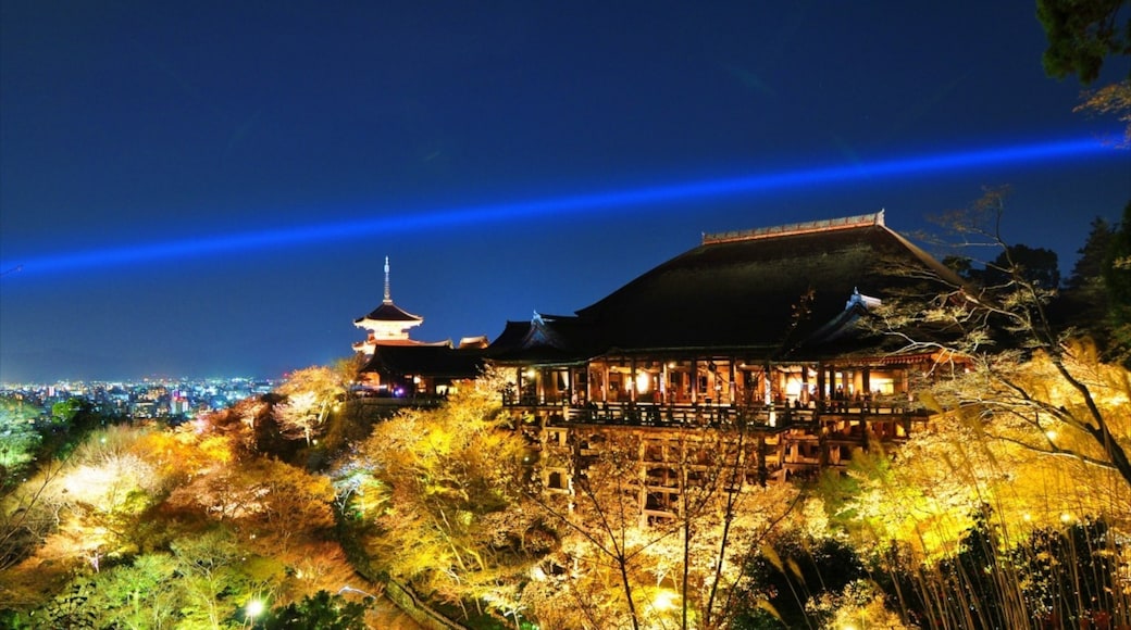 写真提供元 : JNTO