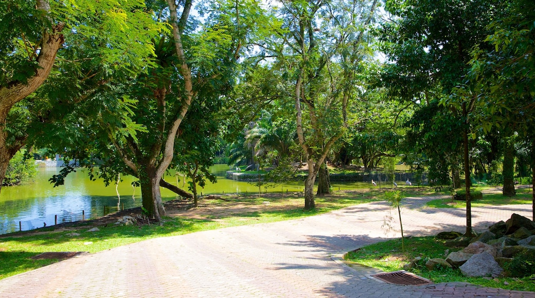 National Zoo showing zoo animals and a garden