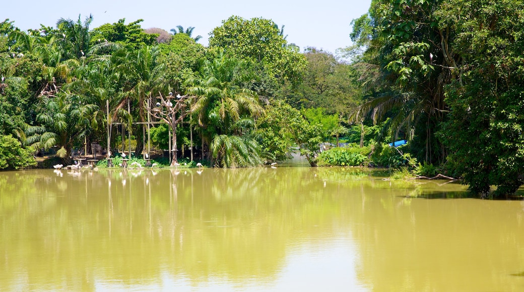 National Zoo which includes a lake or waterhole and zoo animals