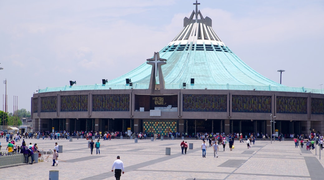 Basílica de Nuestra Señora de Guadalupe mostrando aspectos religiosos, un parque o plaza y una iglesia o catedral