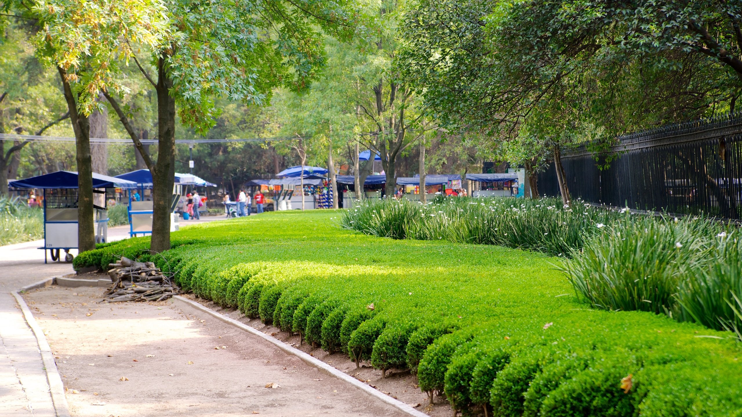 Chapultepec Park bevat een tuin