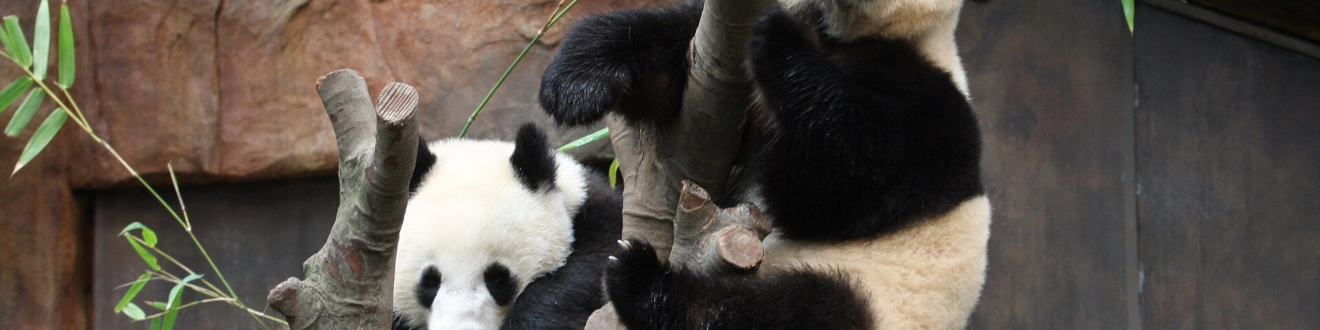南区, 香港島, 香港特別行政区