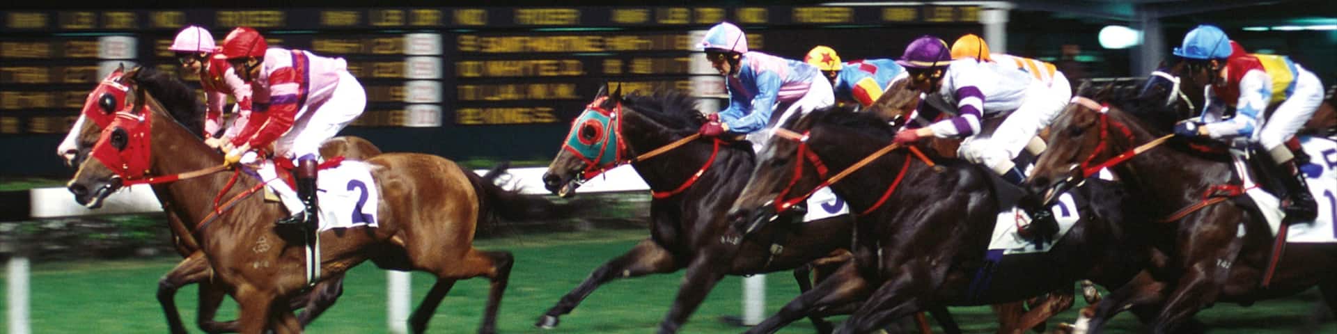Happy Valley which includes horseriding and a sporting event