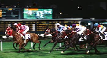 Happy Valley featuring a sporting event and horse riding