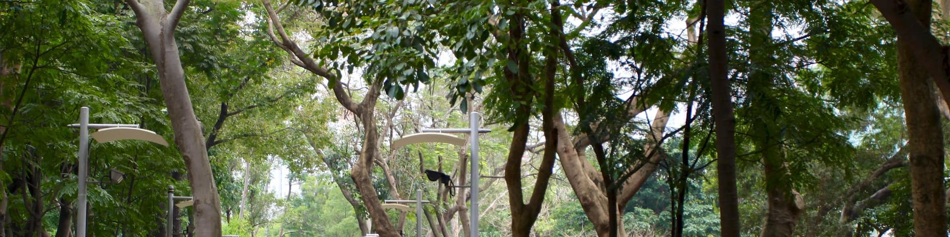 Victoria Park featuring a garden