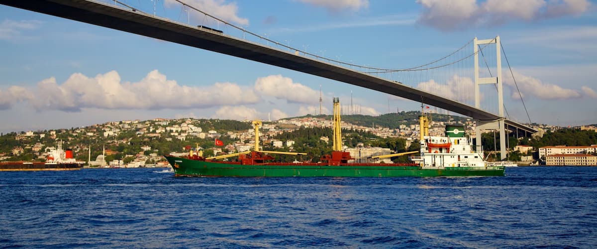 Puente del Bósforo que incluye una localidad costera, un puente y crucero