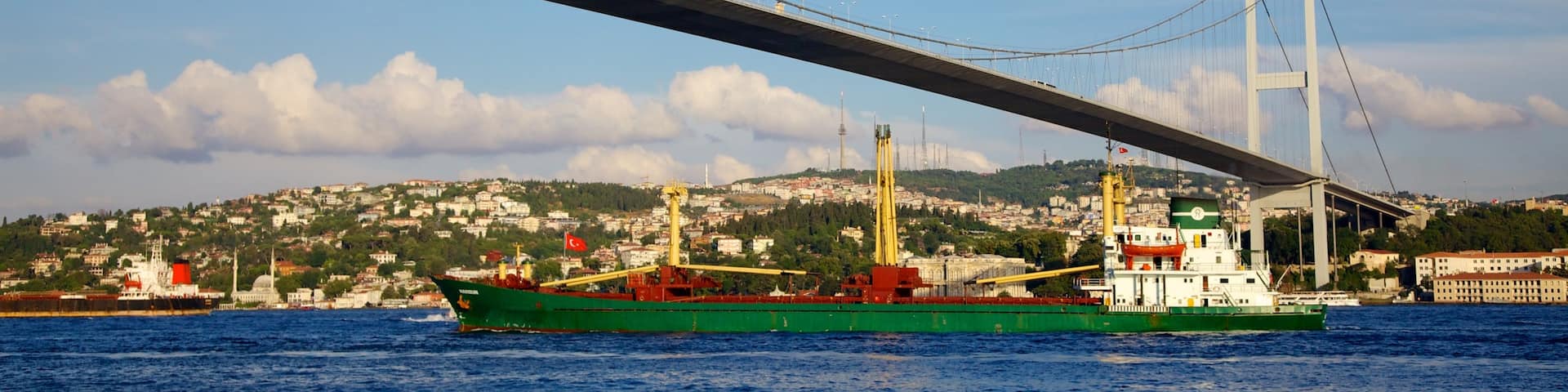 Bosphorus-bron som visar en kuststad, en bro och en Ă„ eller flod