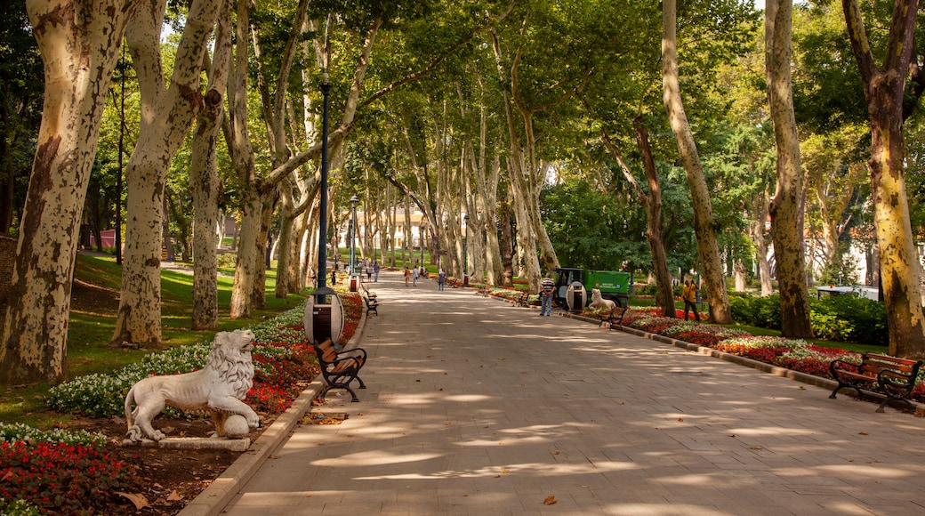 Parco Gülhane che include giardino