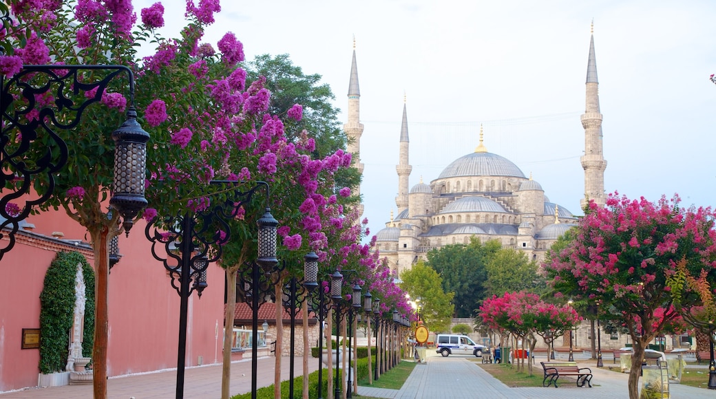 Blue Mosque showing a garden, heritage architecture and a mosque