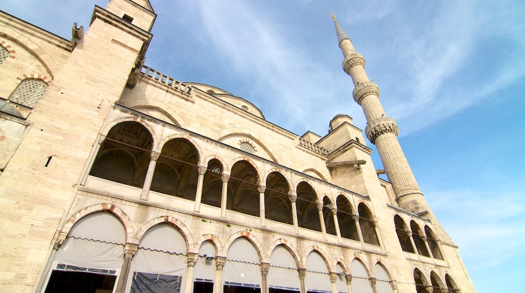 Blue Mosque which includes a mosque and heritage architecture