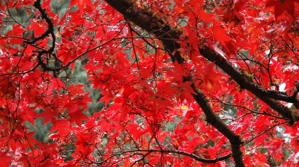 Photo provided by Tourism BC/Tom Ryan