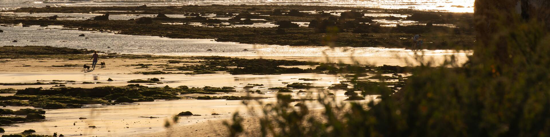 Münster City Museum