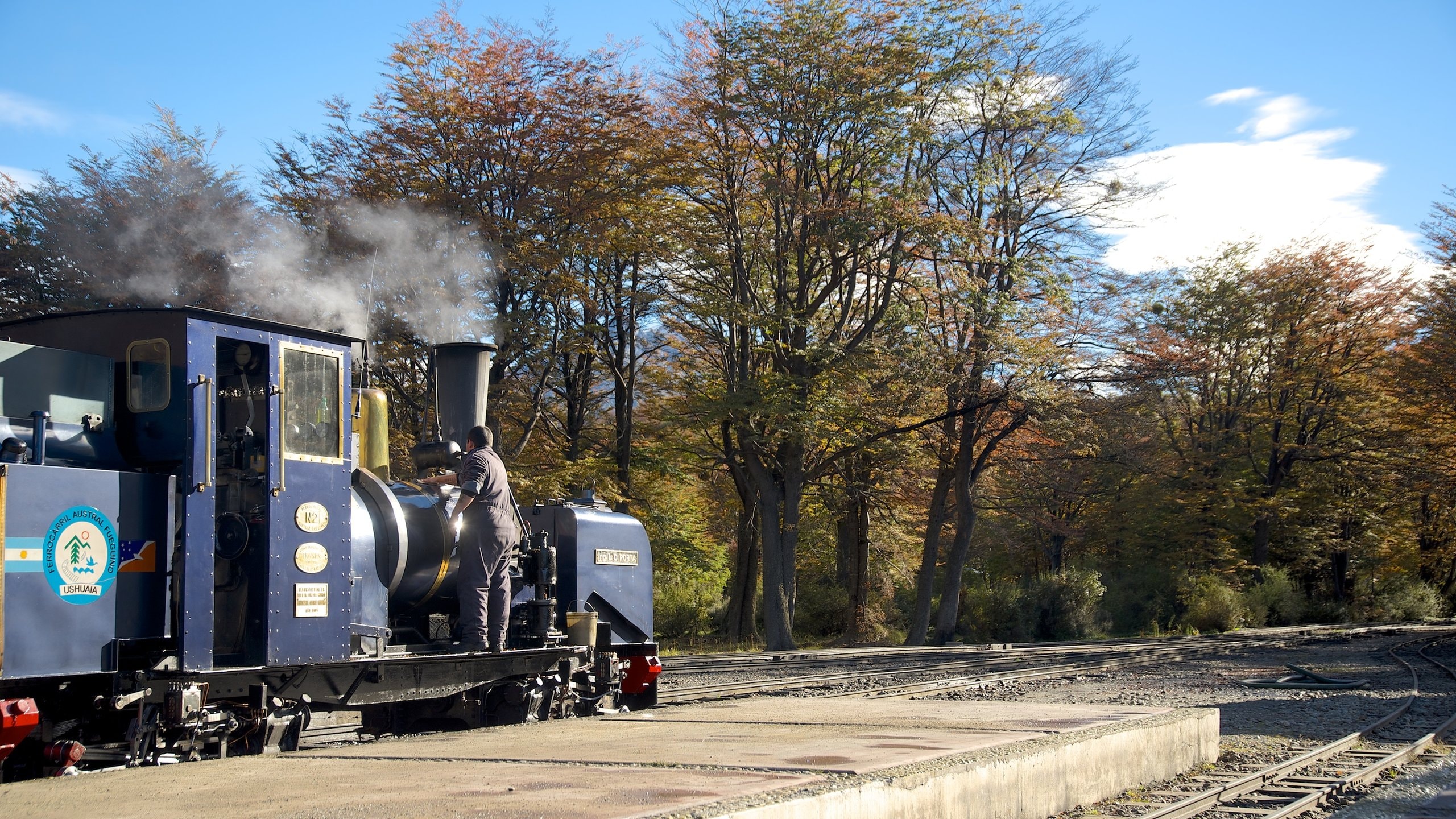 Fin del Mundo Train Station showing railway items