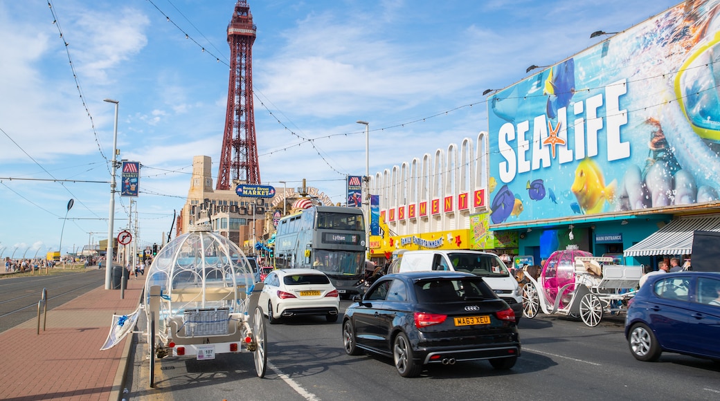 SEA LIFE Blackpool
