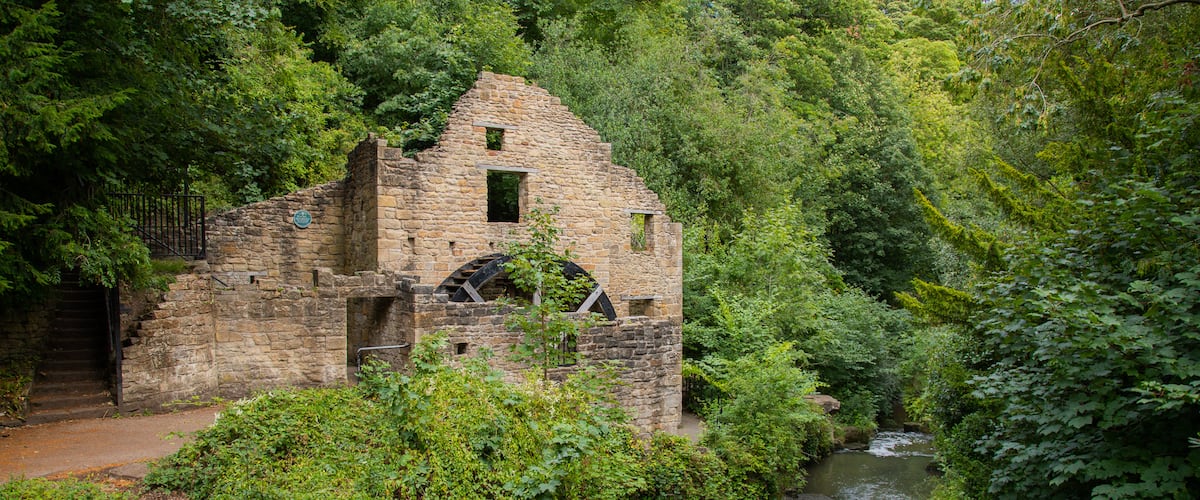 Jesmond Dene Park showing heritage elements, a river or creek and building ruins