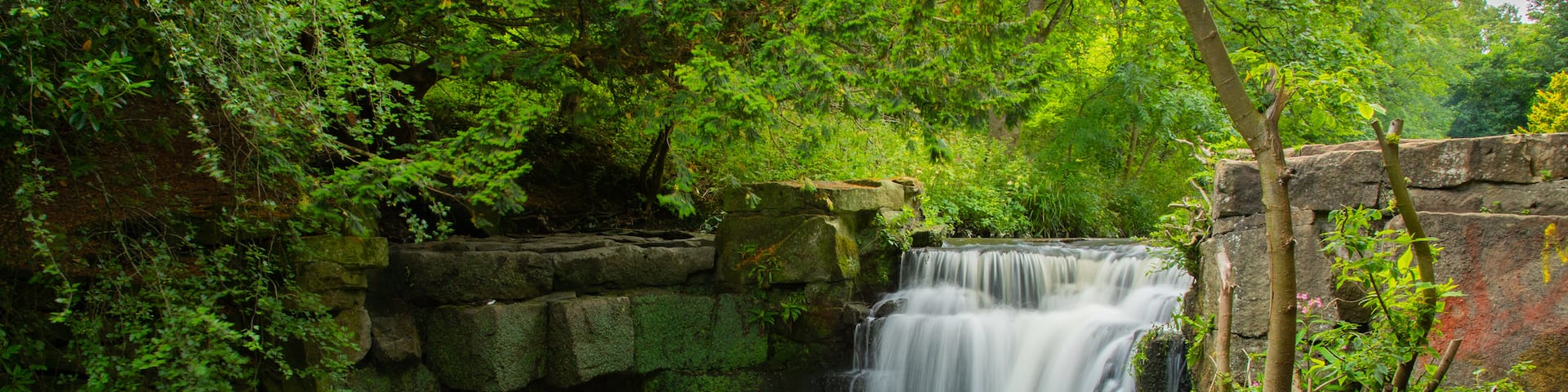 Jesmond Dene Park featuring a waterfall