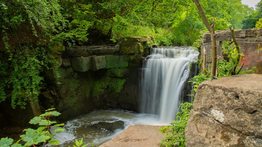 Jesmond Dene Park
