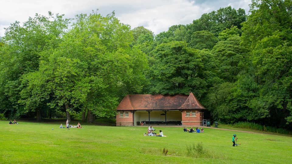 Jesmond Dene Park featuring a garden and picnicing