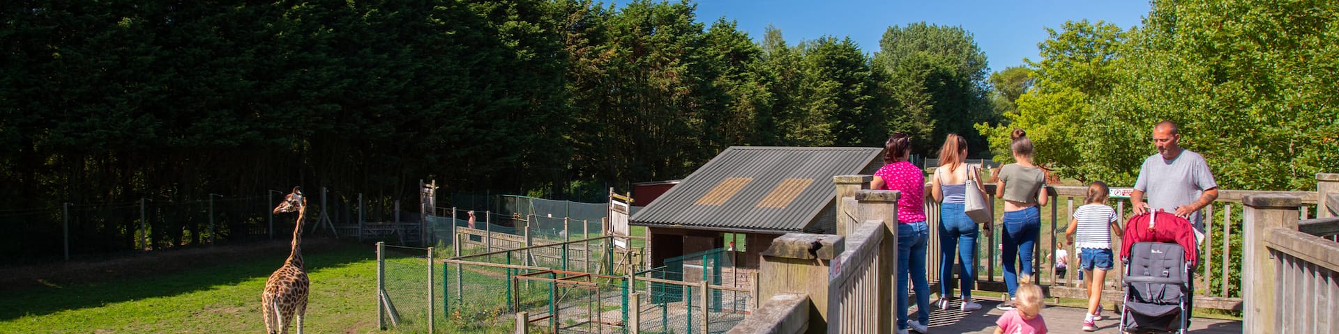 Blackpool Zoo featuring zoo animals and land animals as well as a family